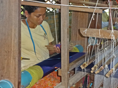 A working silk farm in the rural district of Puok - about a 20-minute drive from the center of Siem Reap, Cambodia