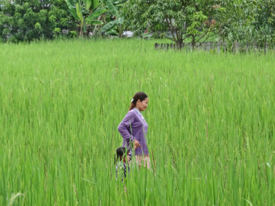 Woman and child in a rice field near the Roluos Group of temples and monuments