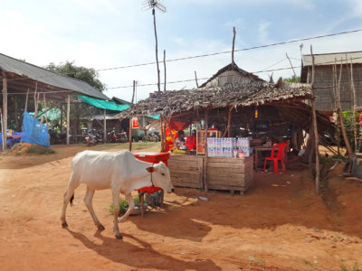 A small village - while traveling to Tonle Sap Lake, Cambodia