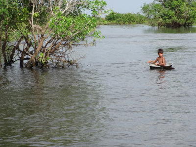 Boy boating in a metal cover in the flooded mangrove forest surrounding Tonle Sap Lake. 