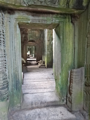Ta Prohm Temple - interior halls - in Angkor, Siem Reap Province, Cambodia