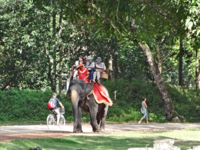 Tourists can pay for an elephant ride - Angkor Thom, Cambodia