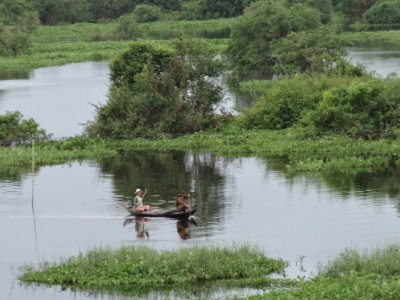 Fishermen in the flooded forest/wetlands next to Tonle Sap Lake - Siem Reap Province, Cambodia