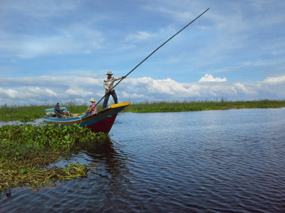 Fishermen near the flooded forest/wetlands next to Tonle Sap Lake - Siem Reap Province, Cambodia