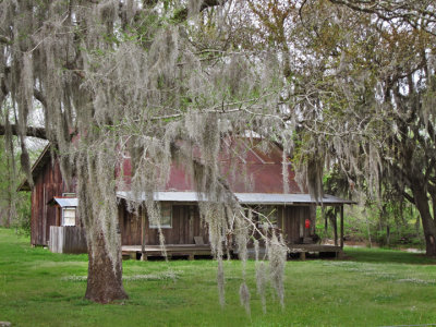 Rural house on a dirt back road in southwestern Louisiana