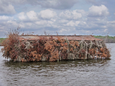 Close-up of a duck blind on Lake Martin in southwestern Louisiana