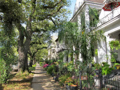 The Garden District in New Orleans - well preserved mansions from the 19th century