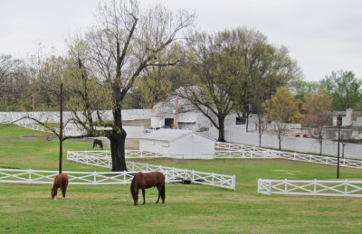 Horses and stable at Graceland - Elvis Presley's home in Memphis, Tennessee