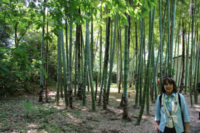 Judy next to a Moso Bamboo Grove in the East Garden of the Imperial Palace - Tokyo