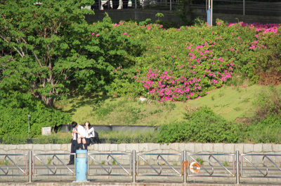 A young male and a young female on the banks of the Sumida River - seen from our water bus, Tokyo