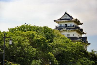 Odawara Castle as seen while traveling from Odawara to Hokane