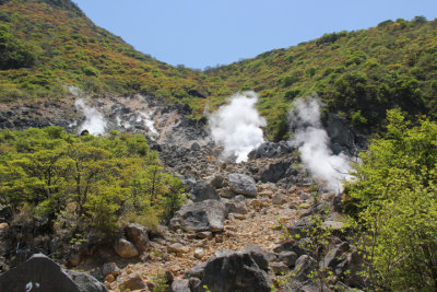 Sulfurous steam vents at Owakudani