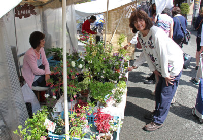 Judy examining plants at the Morning Market next to the Miyagawa River in Takayama