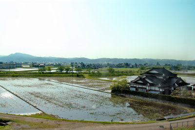 Traditional rice paddies - seen while traveling from the Gassho-zukuri Village in Shirakawa-go to Kanazawa