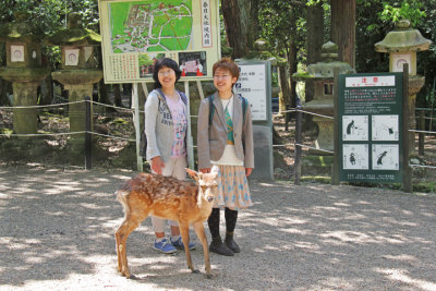 Two women and a deer near the path to Kasuga Taisha (a Shinto shrine) in Nara Park in Nara