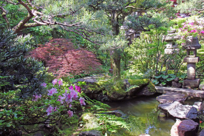 Exquisitely detailed garden of the Nomura Family Samurai House in the Naga-machi Samurai District - Kanazawa