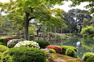 Black pine tree (Karasaki Matsu) with some pole-supported branches over the Kasumiga-ike Pond - Kenroku-en Garden - Kanazawa 