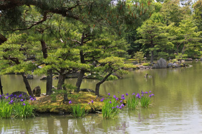 An islet in the Kyokochi Pond at the Golden Pavilion in Kyoto. A bird is on a small fallen branch in the pond in the background.