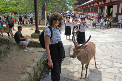 This deer was fond of Judy as schoolchildren photographed the interaction - in Nara Park