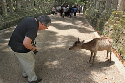 John and a deer  in Nara Park in Nara, Mutually respectful bows? :-)