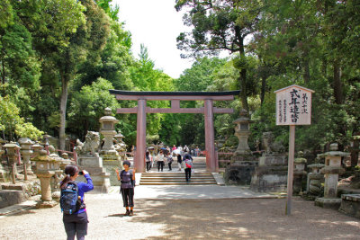 Torii (gate) on the path to Kasuga Taisha (a Shinto shrine) in Nara Park - stone lanterns line the path