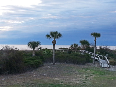 A wooden walkway leading to the beach on the North Coast of Tybee Island