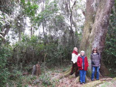 Left to right: Mary Louise, Renee and Judy at the Savannah National Wildlife Refuge 