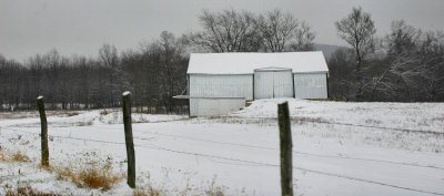 white barn in snow storm
