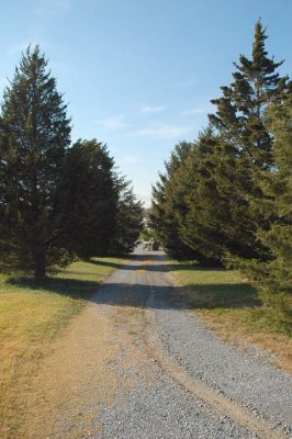 driveway view toward road