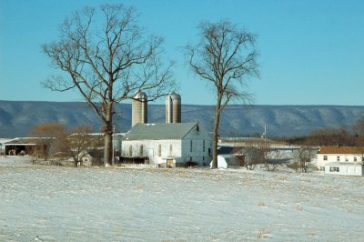 two silos, two trees