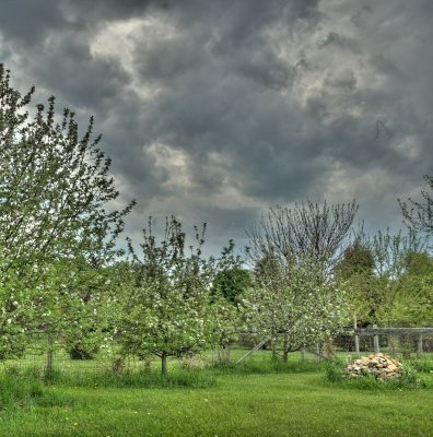 storm clouds with barn swallow outline
