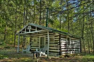 Palace at Watery Hollow