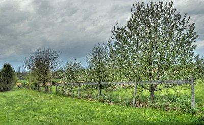 barnyard and pasture fenceline