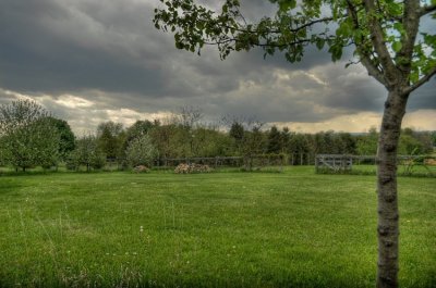 storm clouds from the barnyard