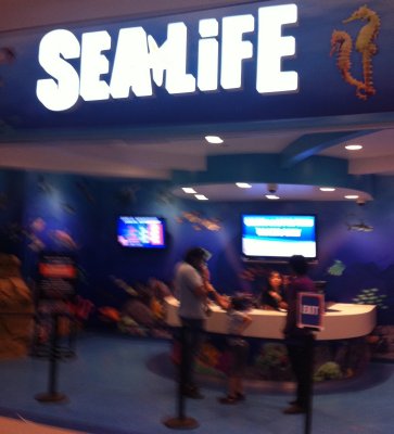 8-2 Mall of America 03 Sea Life at Mall of America.jpg
