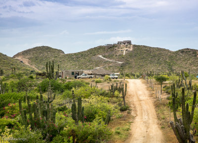 Winding driveway