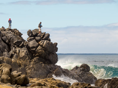 Fishing from the cliff below