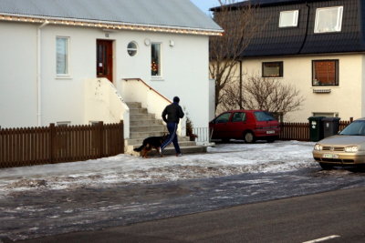 Skokkað með hundinn.