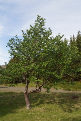 g9/24/324/3/160765998.e3kEqGbr.jpg