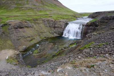 rufoss