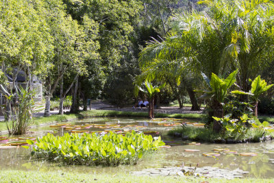 _MG_8226.jpg