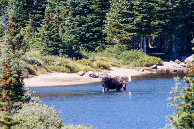_MG_6095.jpg