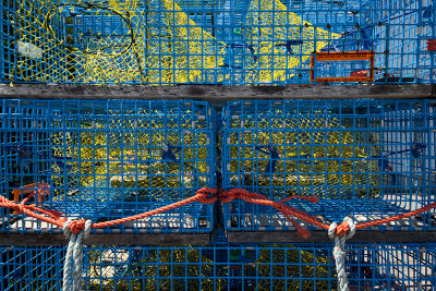 BlueTraps - Westport, Brier Island