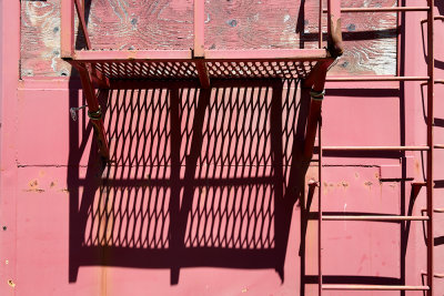 Wall  - Westport, Brier Island
