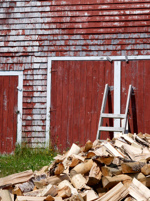 Wood Pile  - Westport, Brier Island