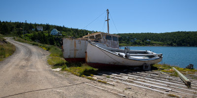 Whale Cove