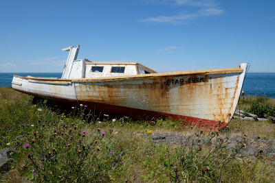 Star Trek - Whale Cove