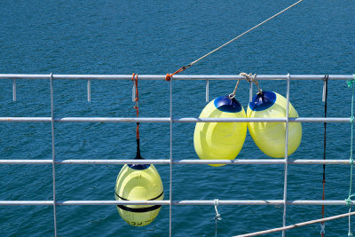3 Buoys - Sandy Cove, St. Mary's Bay
