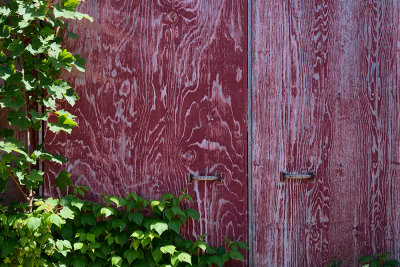 Red Shack - Sandy Cove, St. Mary's Bay