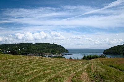 Field and Cove - Sandy Cove, St. Mary's Bay